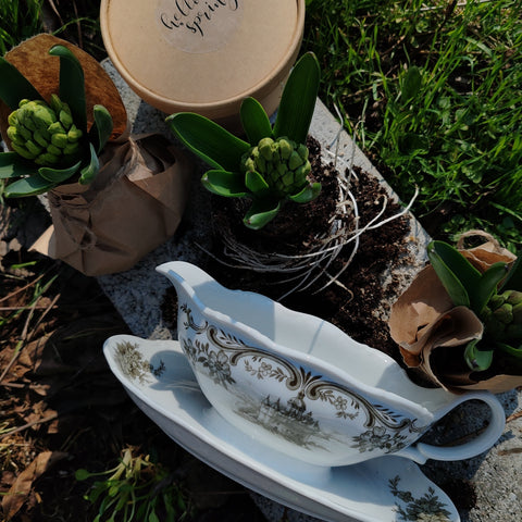 #Kitdeprimăvară. Cutie cu bulbi de plantat acasă, cu vas ceramic vintage