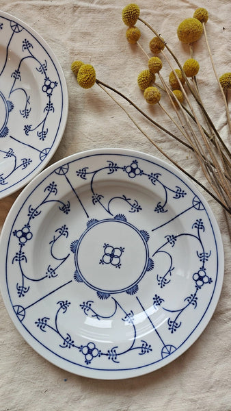 Set 2 farfurii ușor adânci