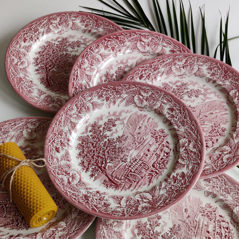 Set 6 farfurii întinse din ceramică englezească vintage, Anglia