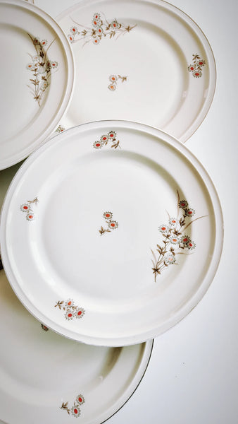 Set 6 farfurii de desert Rosenthal vintage
